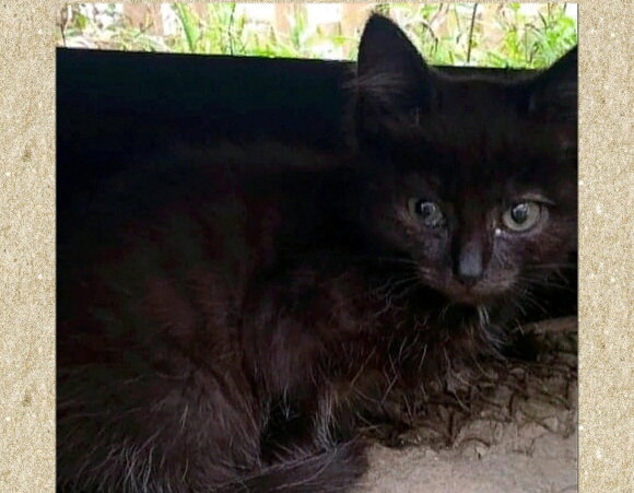 Доброму человеку невозможно пройти мимо такой находки