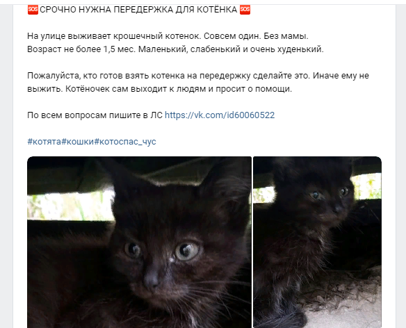 После выхода этого объявления произошла череда счастливых событий