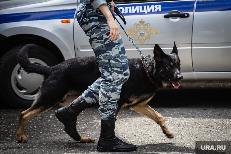    ФСБ и полиция задержала несколько торговцев наркотиками в Югорске