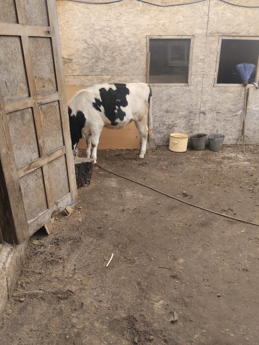 Фото автора канала. Ларочка.