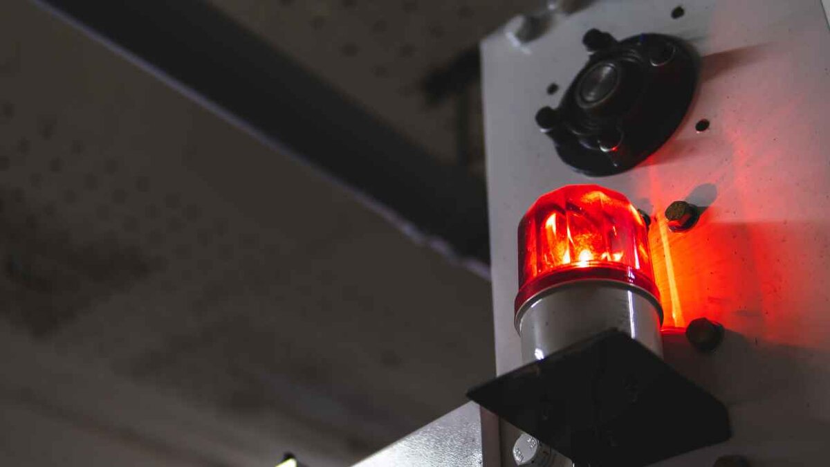 Фото: Sergey Nemirovsky/Shutterstock.com