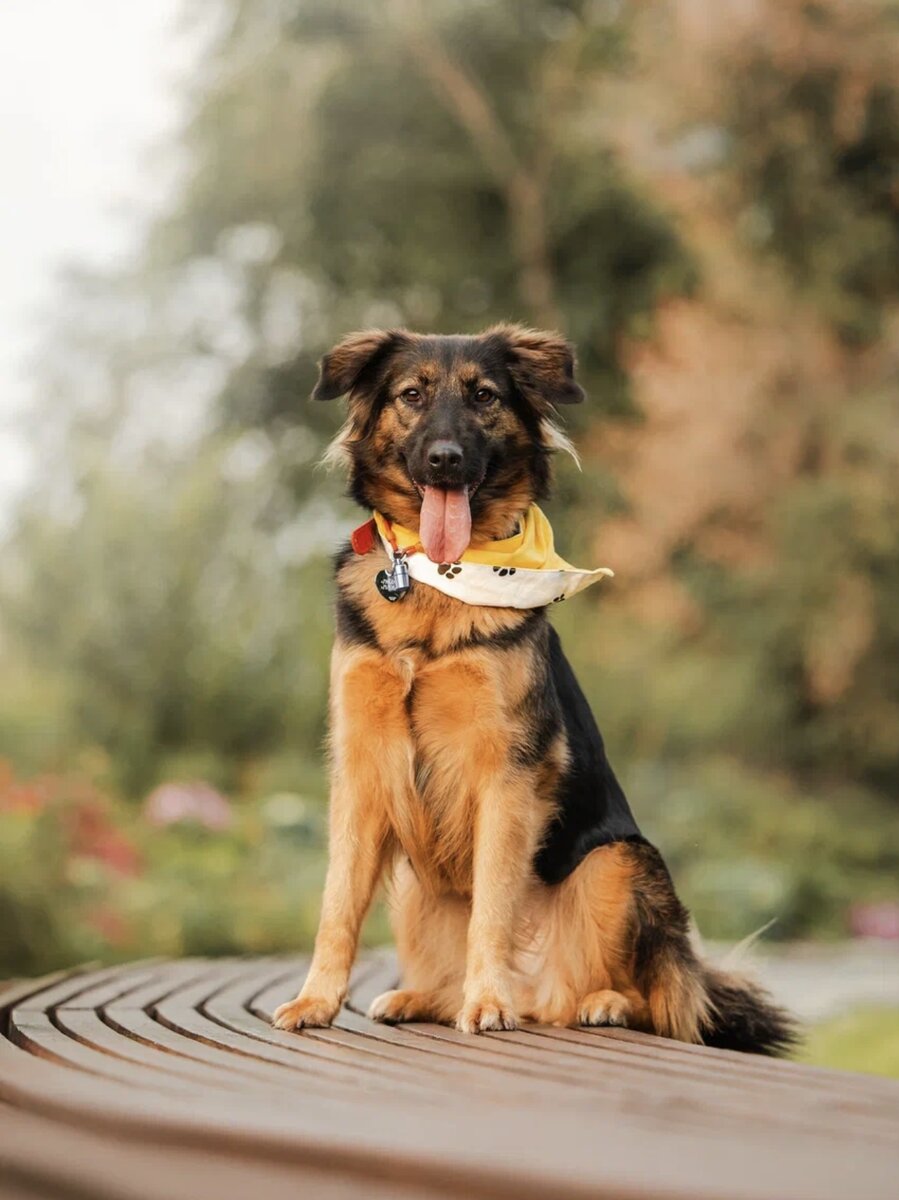 Лекси принарядилась для Вас…