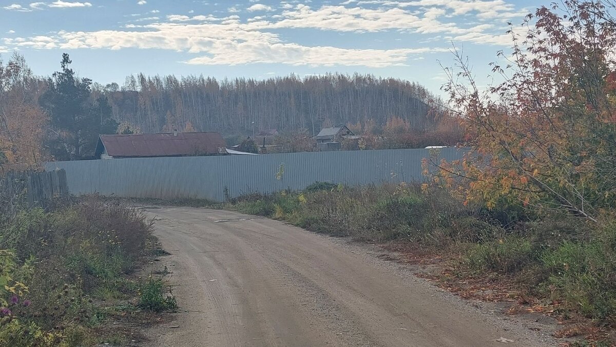 Прогулка в обед.