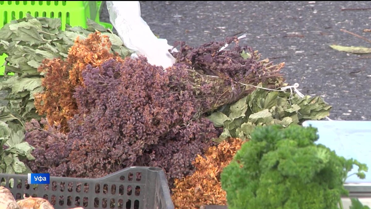    Как в Уфе на выходных прошли сельскохозяйственные ярмарки – сюжет “Вестей”