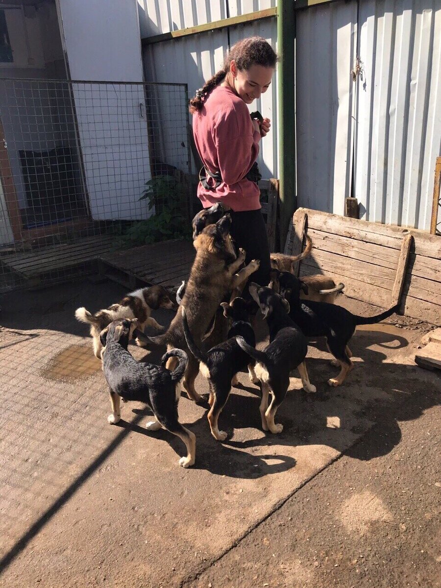 Терапия щенятками :-)