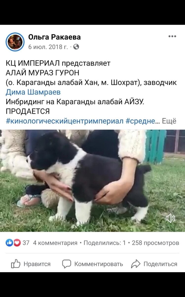 Гурон в детстве).