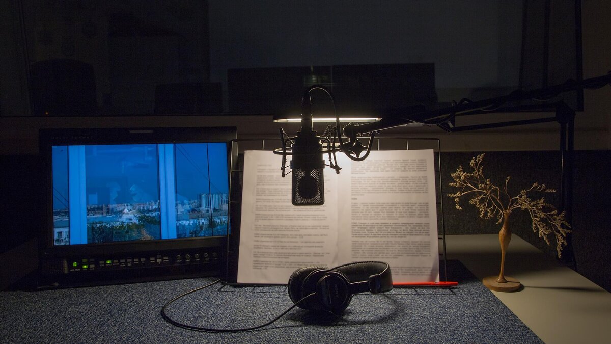    Нейросеть копирует голоса: накажут тех, кто на этом зарабатывает© Global Look Press | Ilya Galakhov