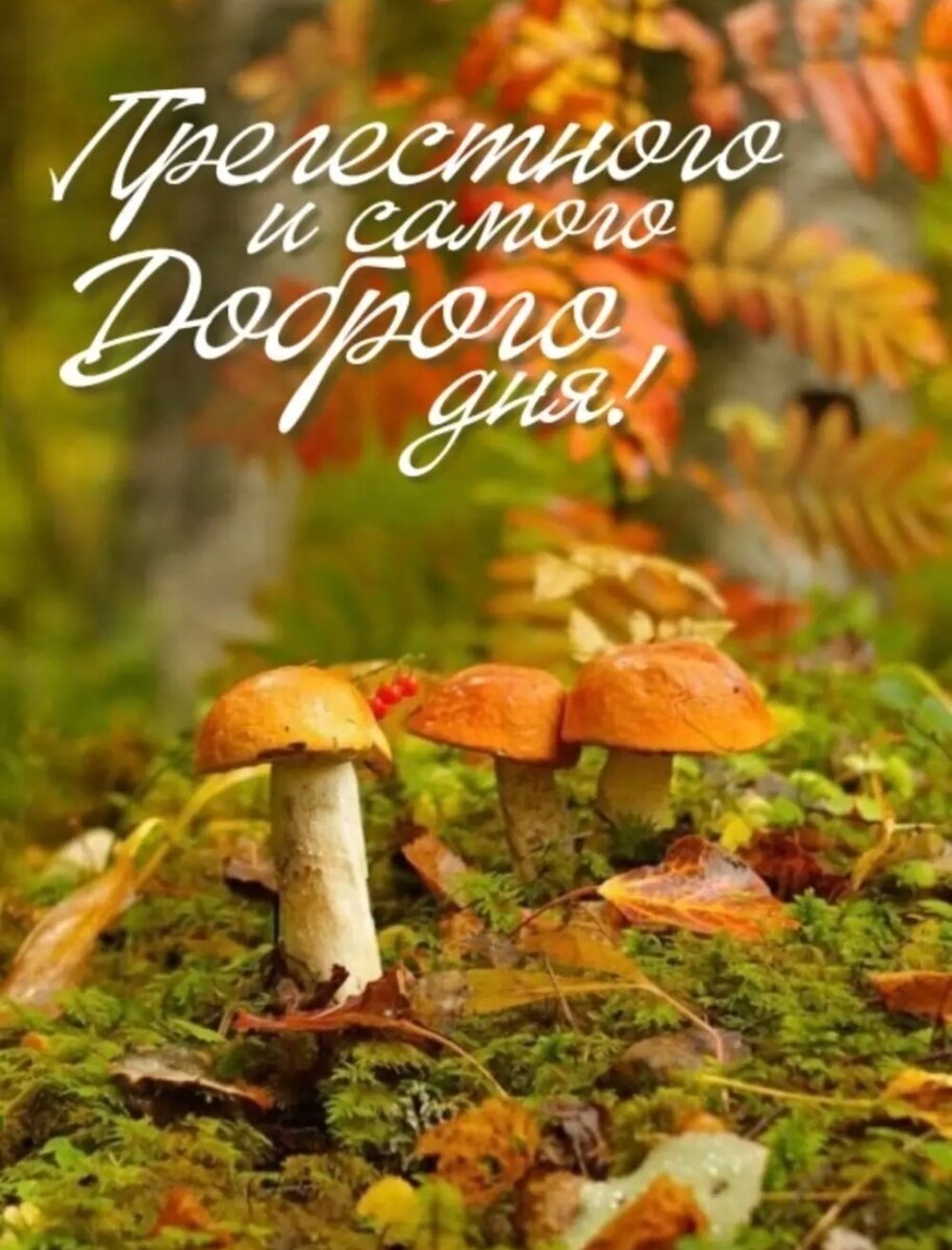 Фото из открытых источников.