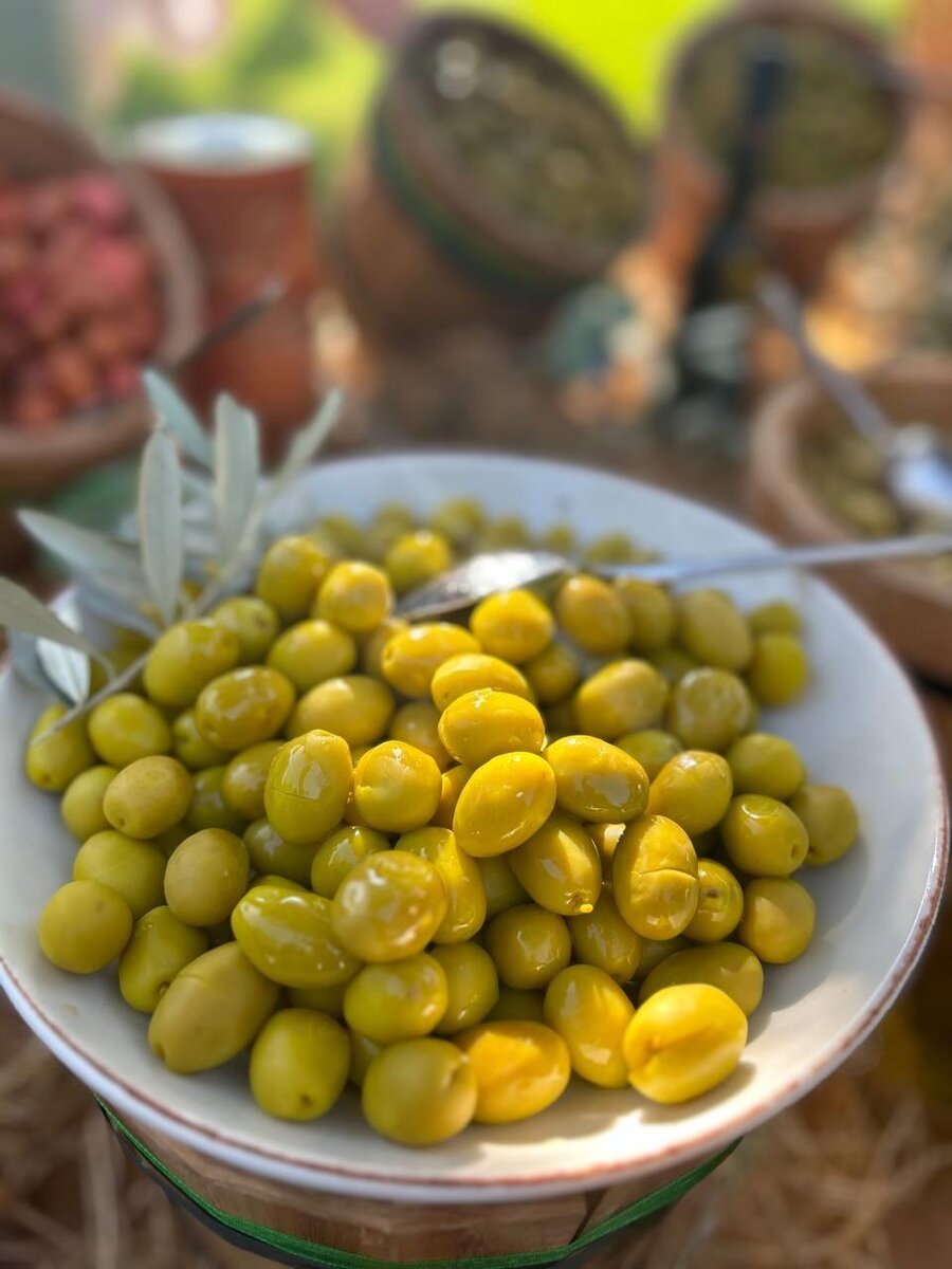 Оливковый фестиваль проводится в Белеке 15 раз