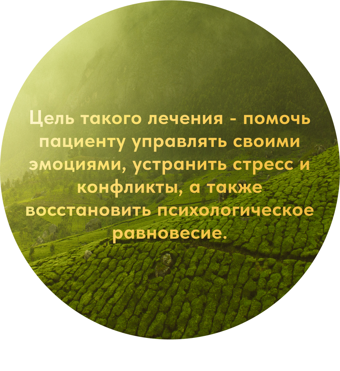 Взаимосвязь стресса и лишнего веса