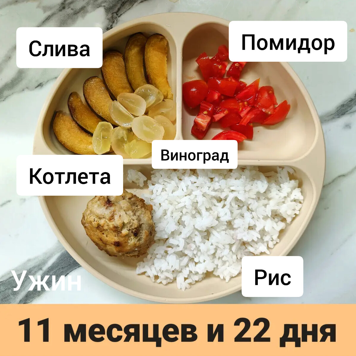 Пример тарелки в 11 месяцев 