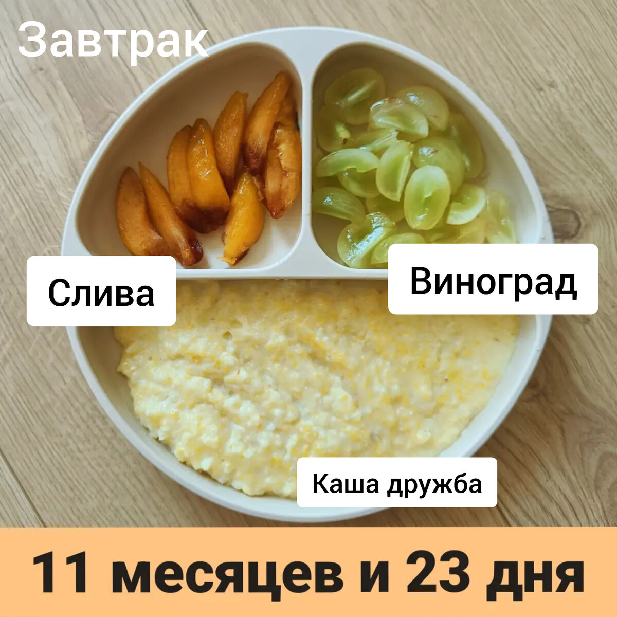 Пример тарелки в 11 месяцев 