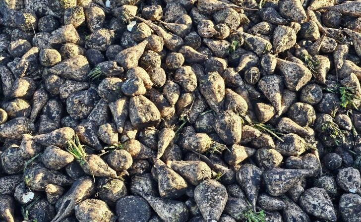    Фото Правительство Курской области