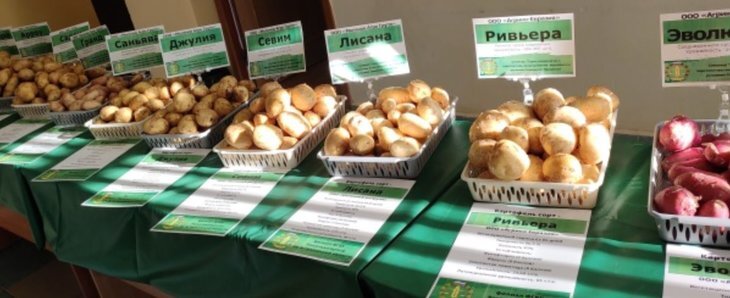     Международный научно-производственный семинар по картофелю в Астраханской области: сорта, сельхозтехника, СЗР
