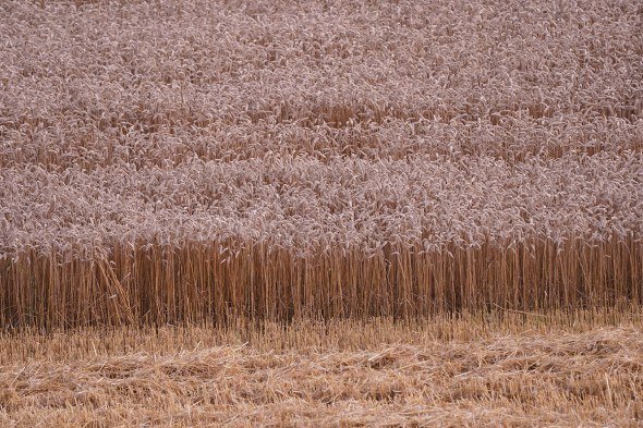    Пресс-служба правительства КО