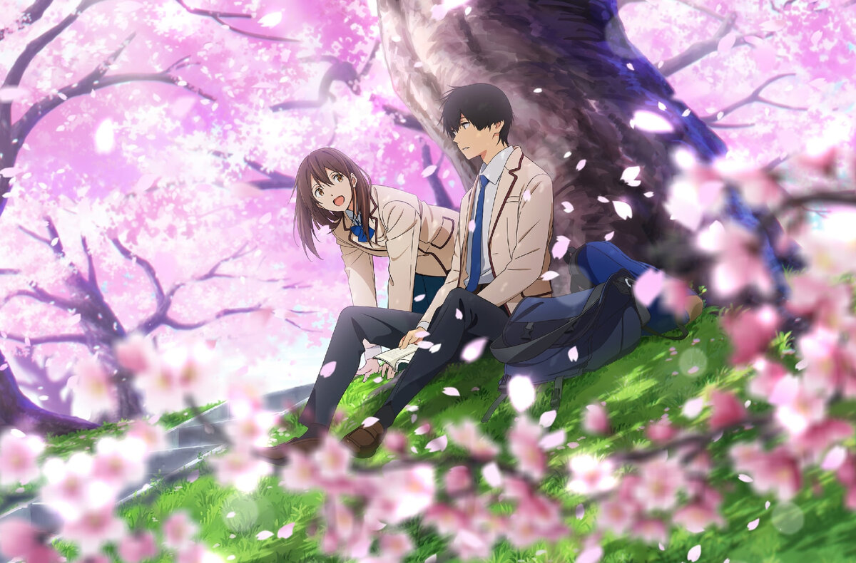 Kimi no Suizou wo Tabetai аниме