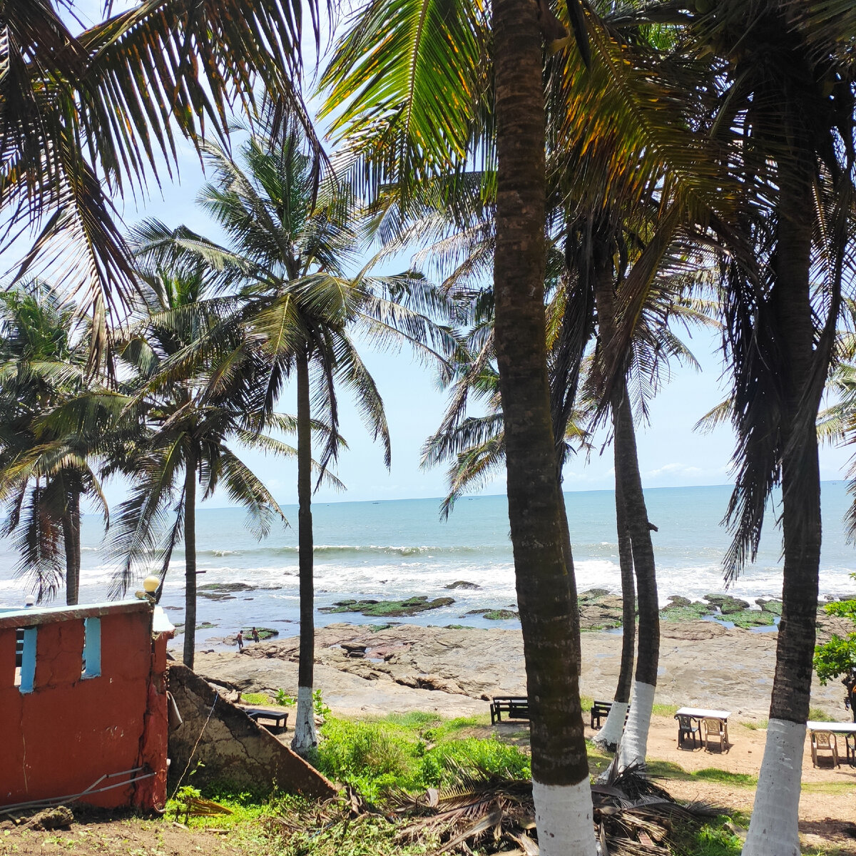 Полуразрушенные здания, пальмы и океан