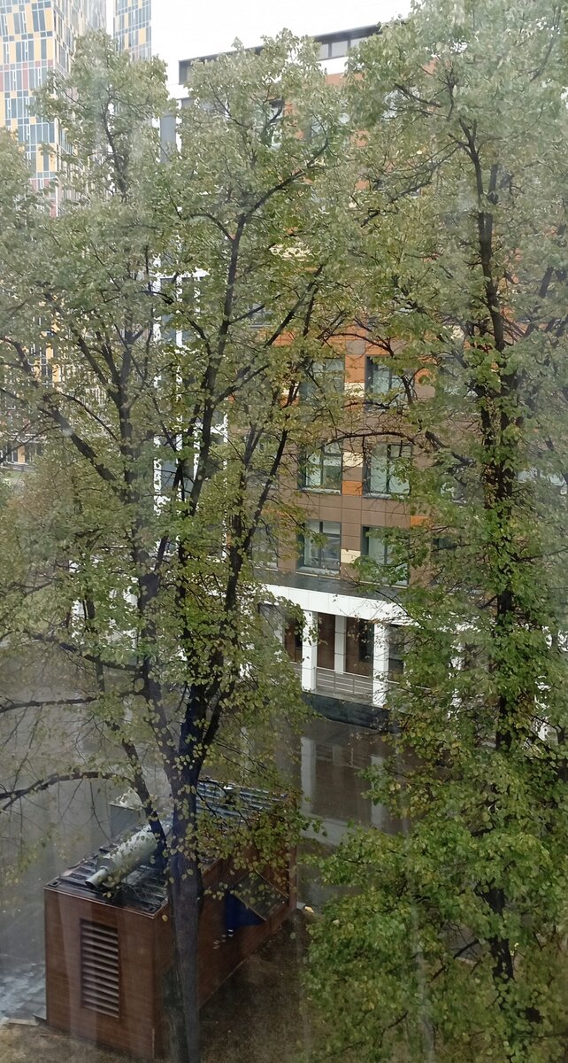 "А из нашего окна..." Вид из окна нашей палаты Морозовской ГДКБ. 16.10.2023 г, понедельник. Фото автора. «А по будням там дождь, И по праздникам дождь...»
