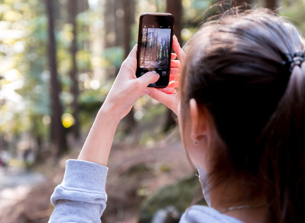 Вот как-то так. 