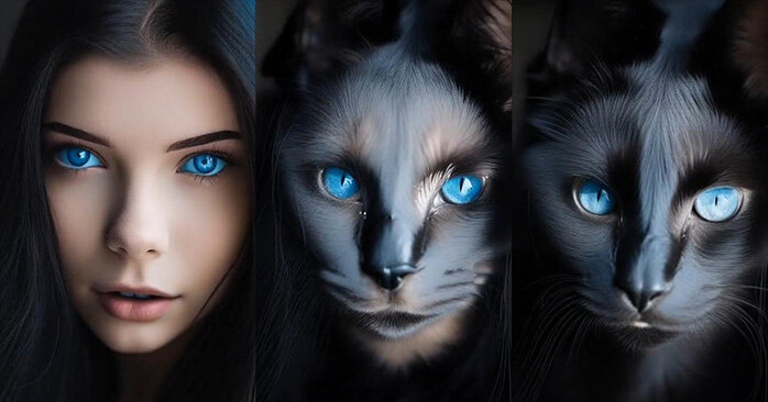 Вот так выглядит настоящая женщина-кошка, а не так, как в комиксах показывают