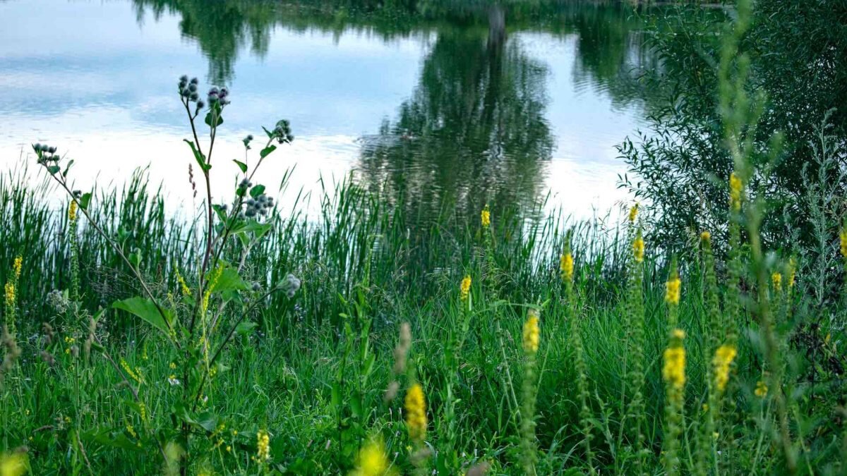    Фото: Unsplash Август Макаров