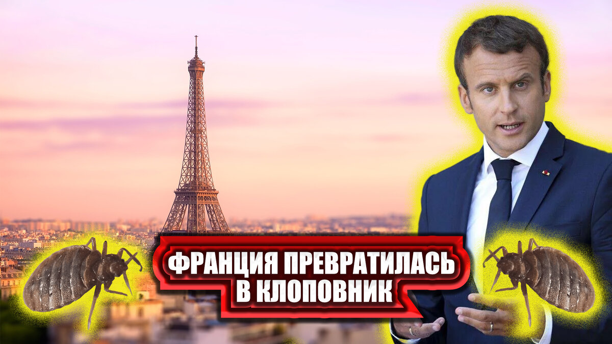 Последние три года Франция все ближе подходила к новому «витку развития»: из европейской культурной столицы, как утверждают СМИ, страна превратилась в самый настоящий клоповник.