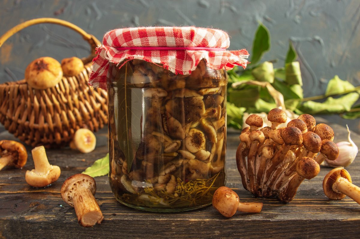 Маринованные опята в банках.