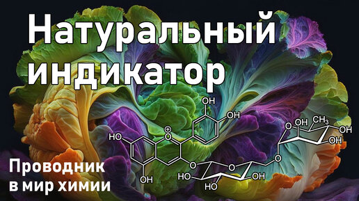 Натуральный индикатор 🧪