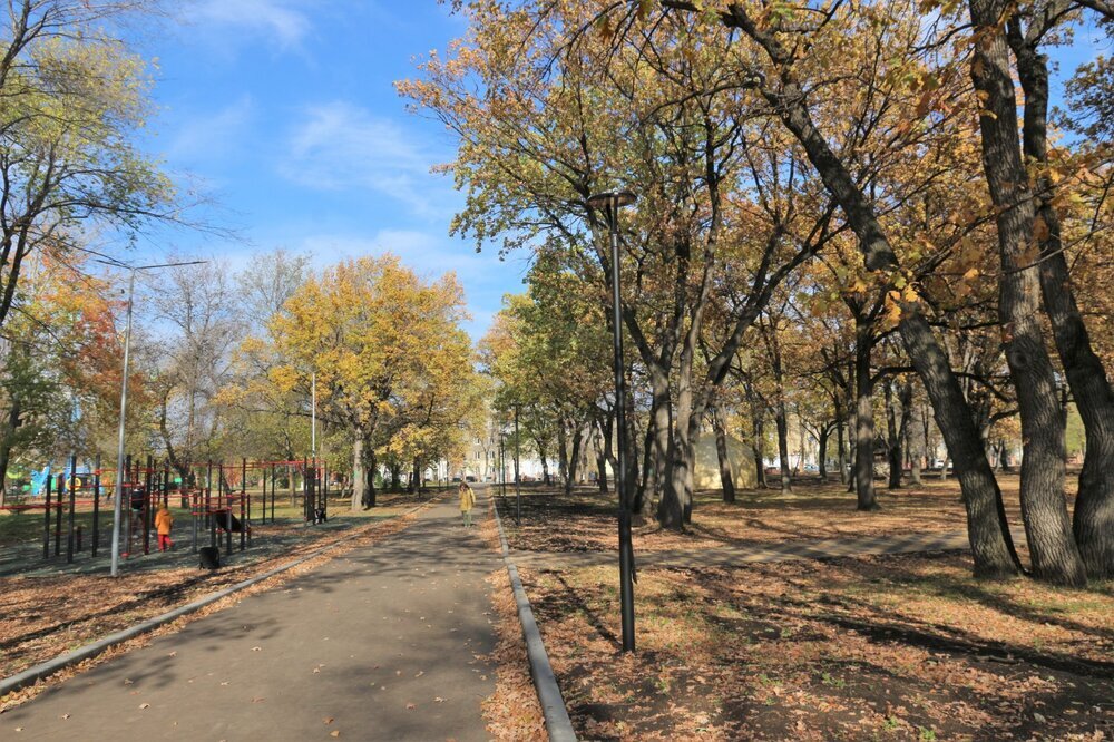 Новокуйбышевск парк Дубки. Загородный парк Новокуйбышевск. Парки в Новокуйбышевске. Парк Победы Новокуйбышевск.