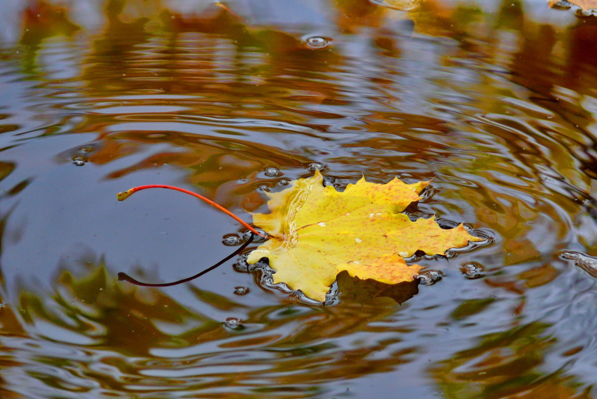 Фото: Яндекс картинки
