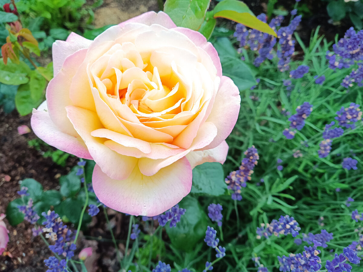 Глория Дэй, лето 2023