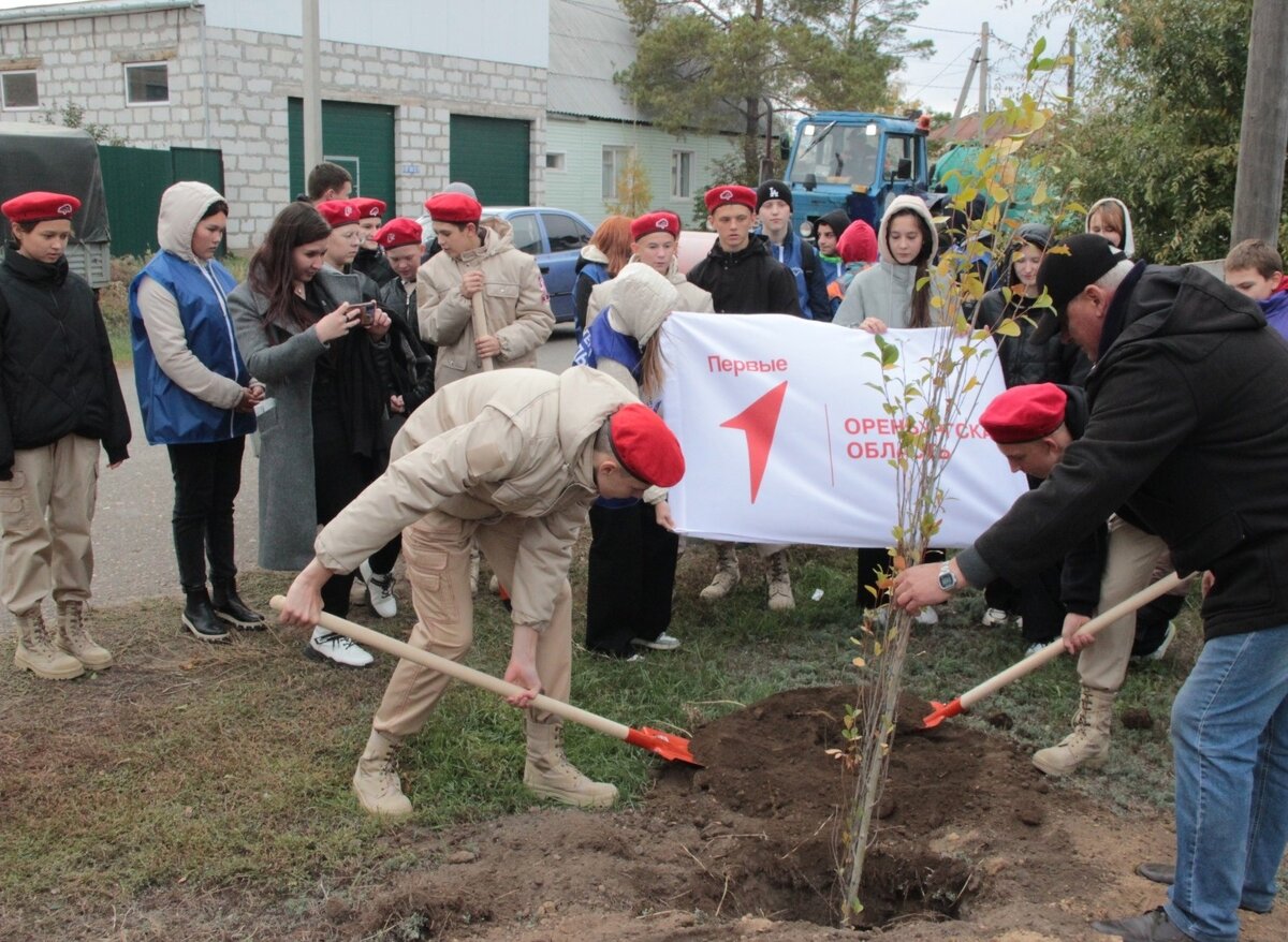  📷    В Илеке в рамках экологической акции «Доверено Первым» высадили 25 пирамидальных тополей Кристина Просвиркина