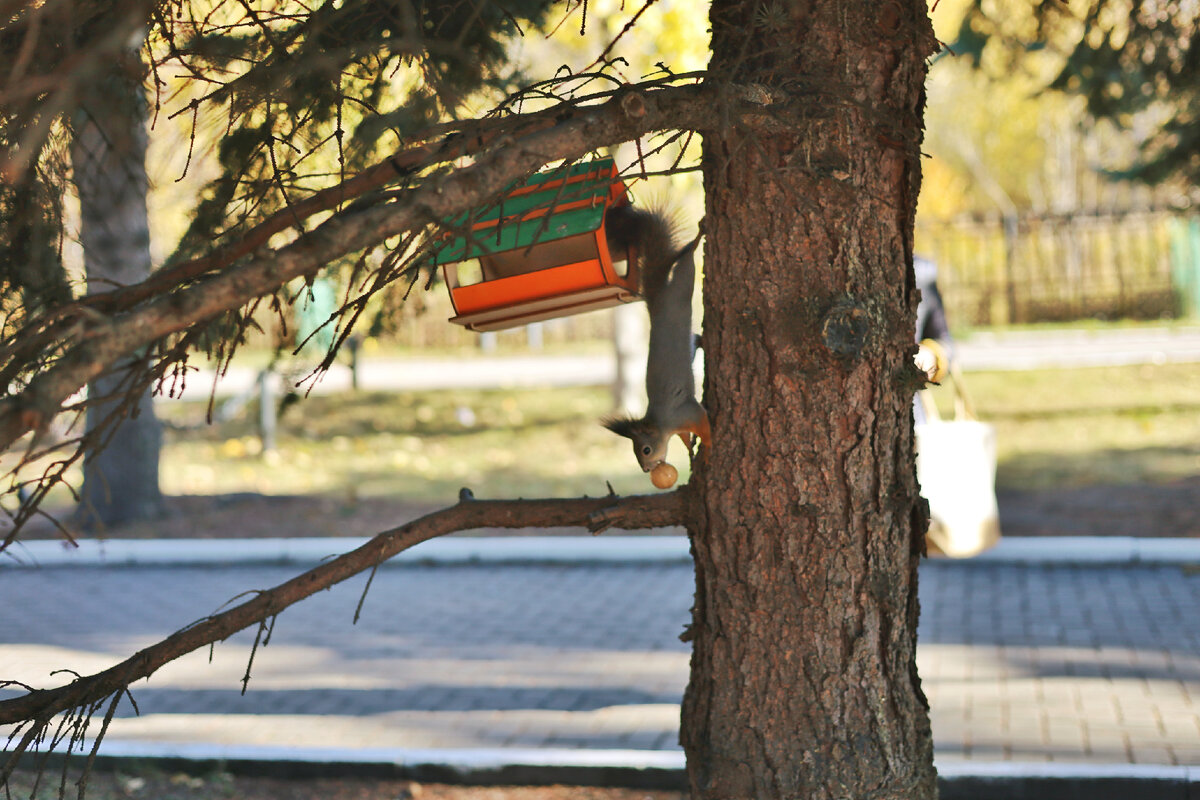 Фото автора