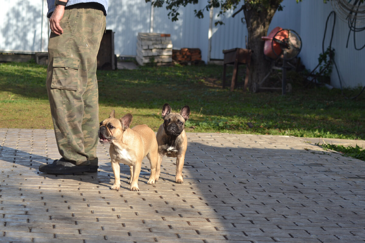 Николь и Ева