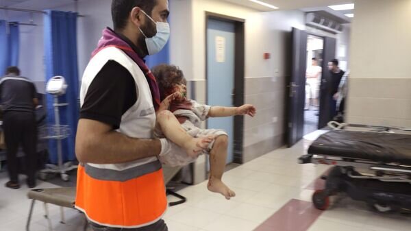    © Sputnik / Тарек Алиян