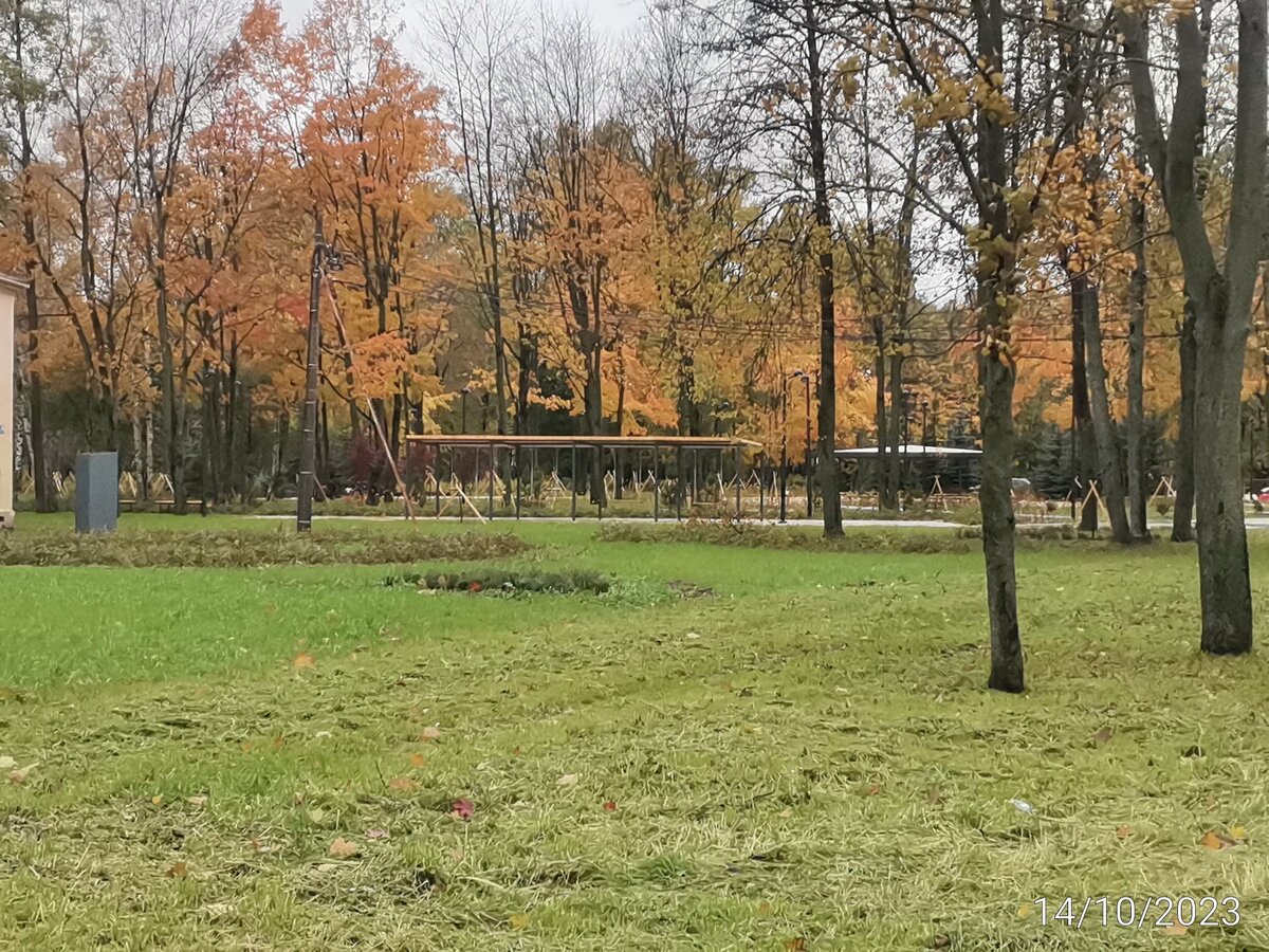 Идём в парк. Посаженные деревья - в подпорках. 