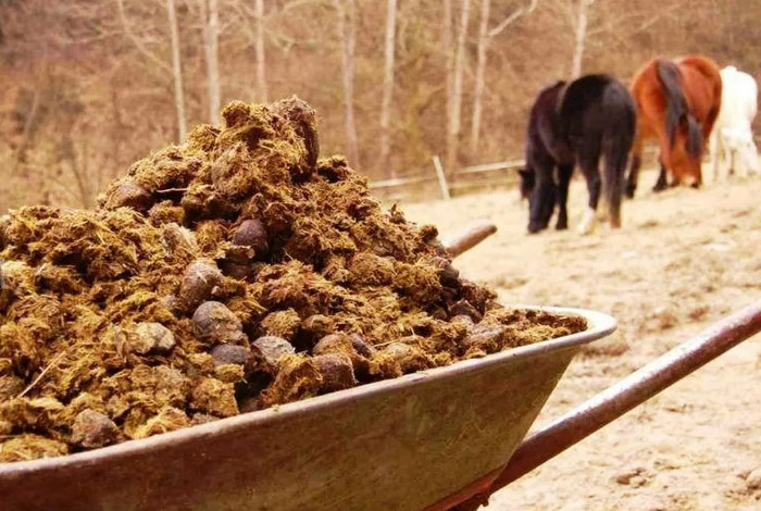 Чернозем камаз. Навоз слушать. Конский перегной. Конский навоз перегной в мешках. Конский навоз.