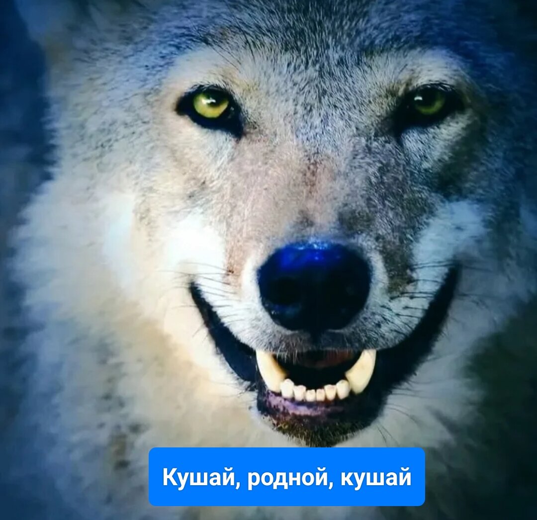 Зверская улыбка