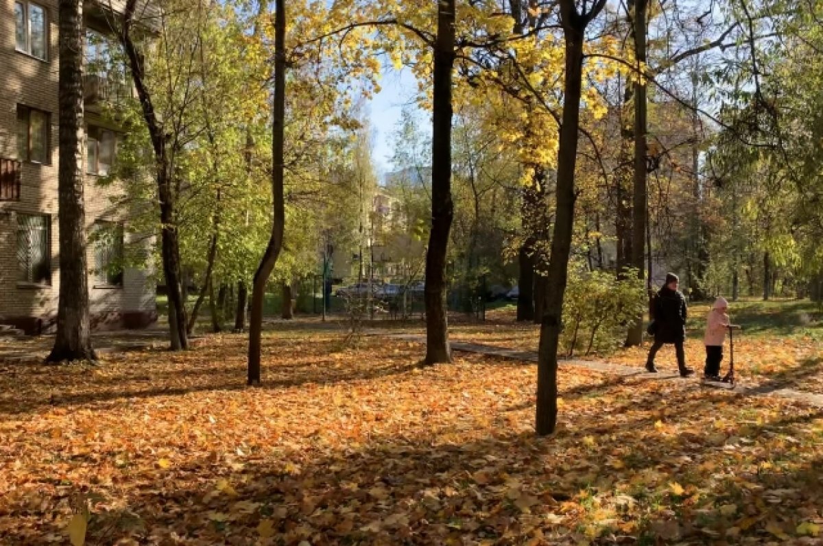    Педиатр рассказала, почему детям лучше не играть в парке с опавшей листвой