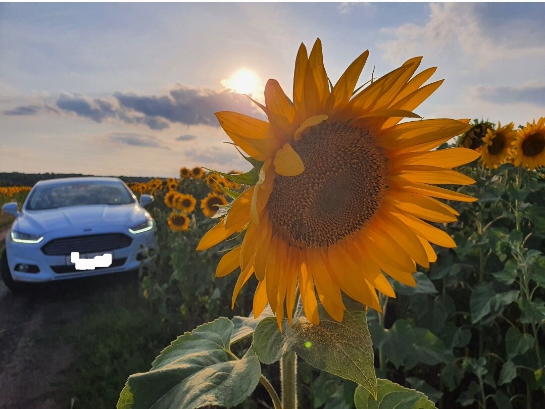 Иногда останавливаюсь, чтобы запечатлеть красоту