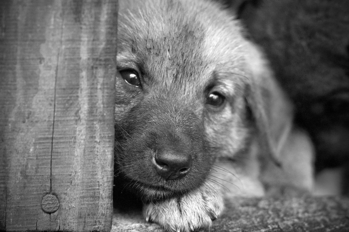 Источник - Яндекс.Картинки