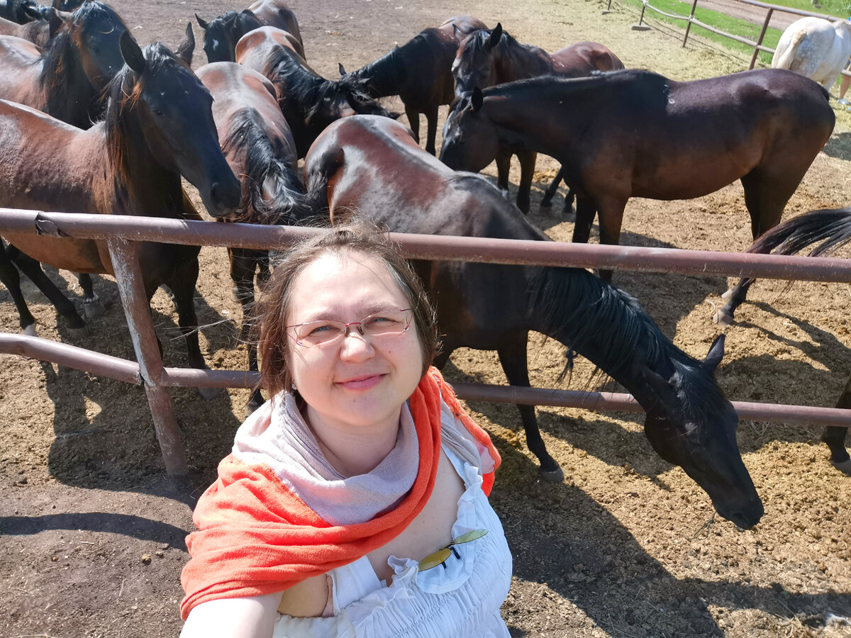 Это я с русскими верховыми. Пока фоткалась, они меня сзади щипали губами за всё, что попало, выпрашивая еду.