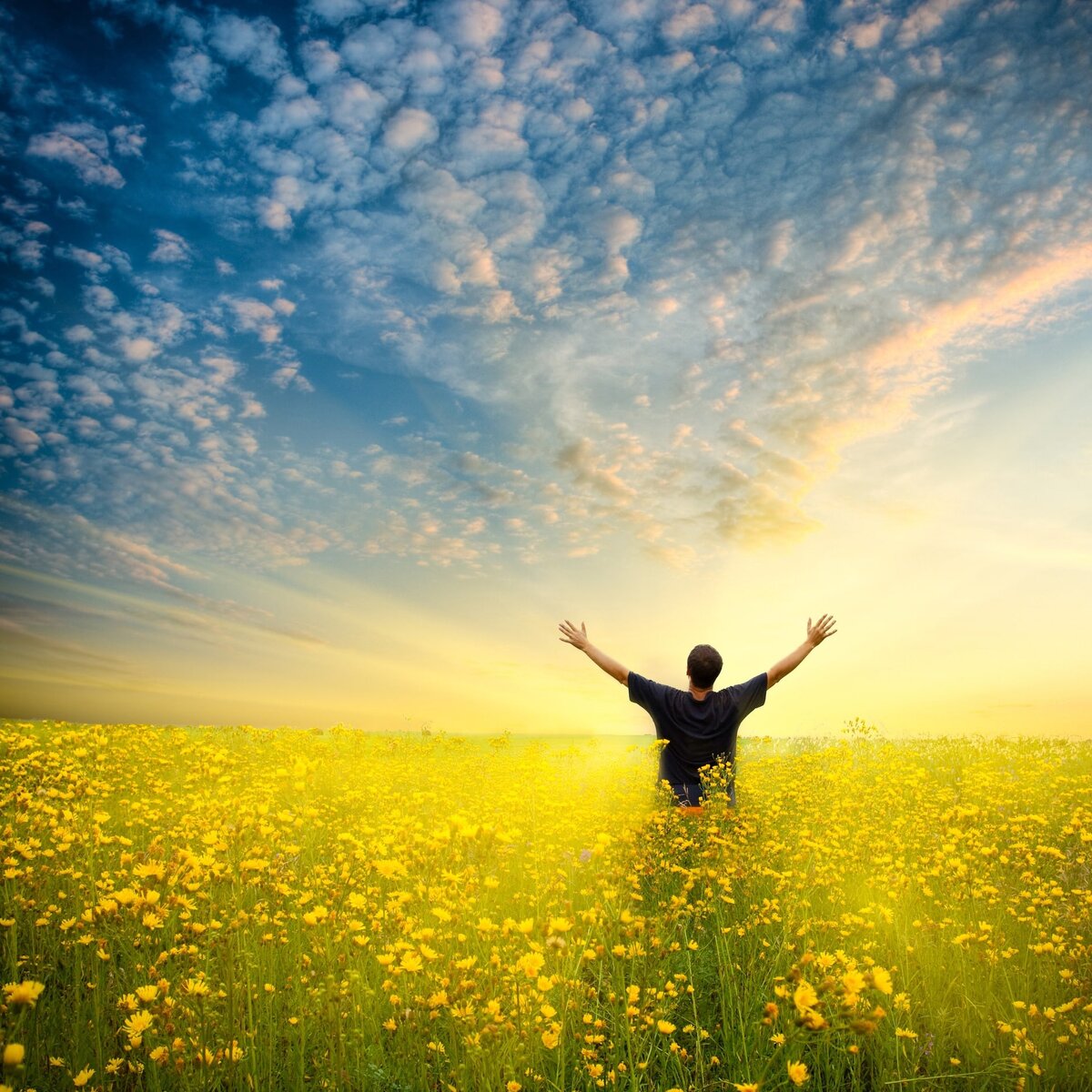 из открытого источника