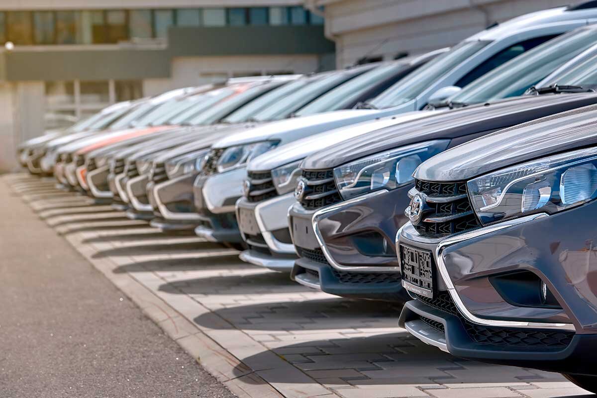    Фото: Tricky_Shark / Shutterstock.com