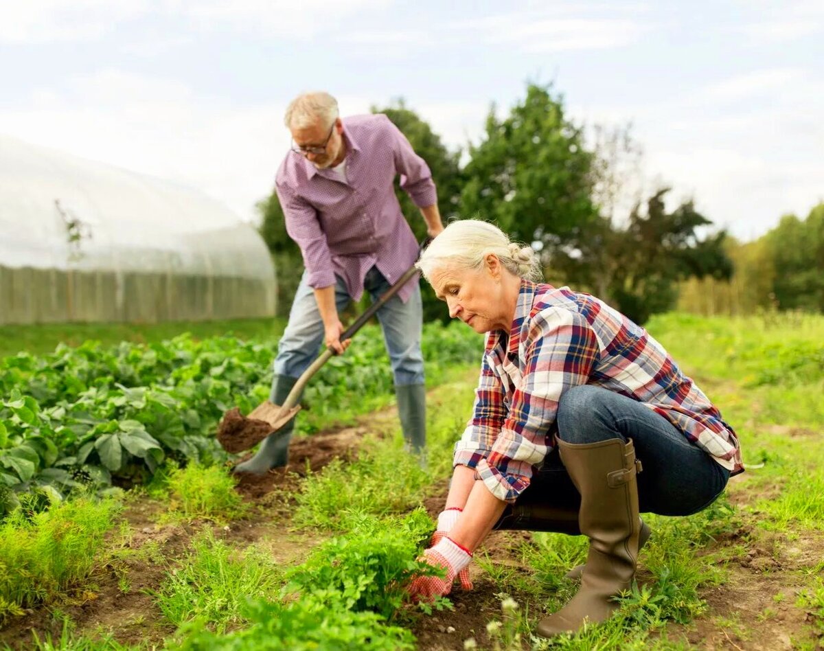 Источник фото: яндекс.картинки