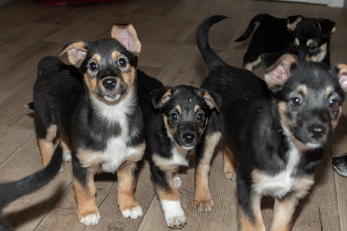 Боня посередине. Самая маленькая из помета