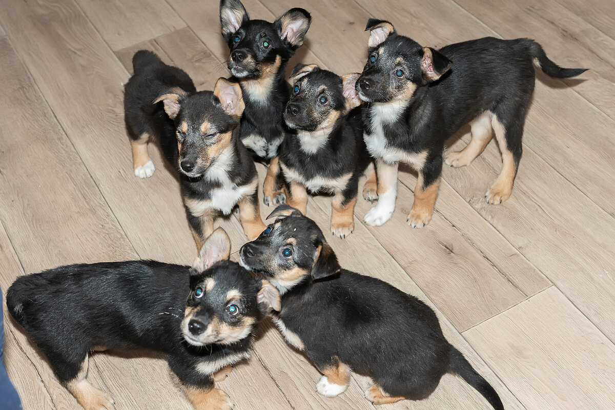 На фото 6, потому что 1 уже нашел дом