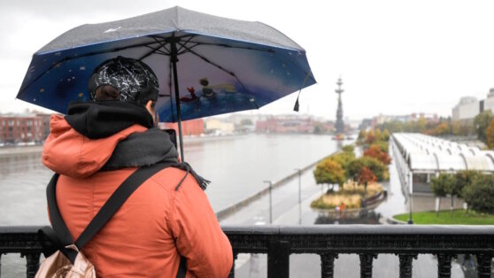    В Москве до конца недели выпадет треть октябрьской нормы осадков Егор Ильяшов