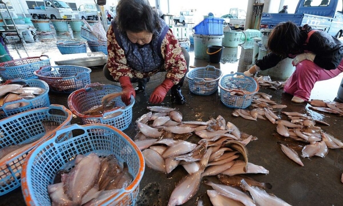    Россельхознадзор вслед за Китаем ограничит поставки рыбной продукции из Японии