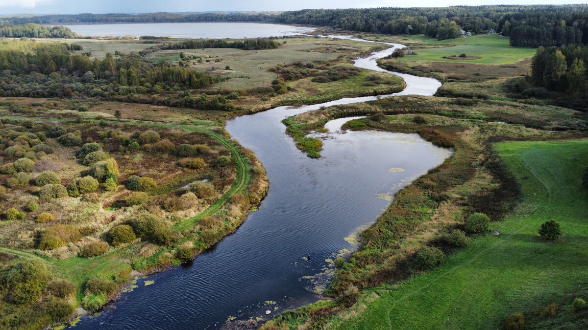 Пушкинские горы. Вид с дрона. Фото из личной коллекции автора.